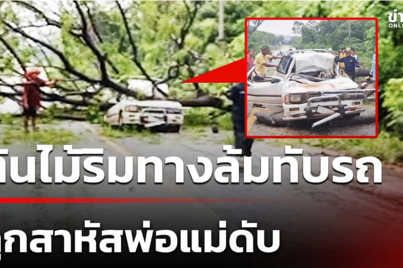 ต้นไม้ริมทางล้มลงทับรถ ลูกสาหัสพ่อแม่ดับ | 26 พ.ค. 68 | ข่าวใหญ่ช่อง86 YT ฝนตกหนัก